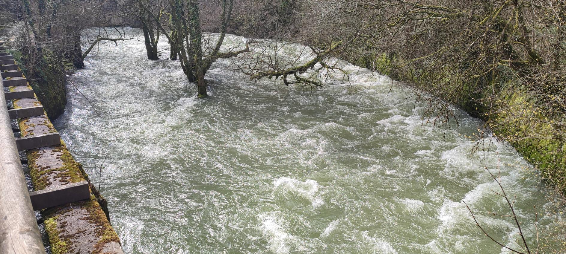 07-20250325_132851-LBN