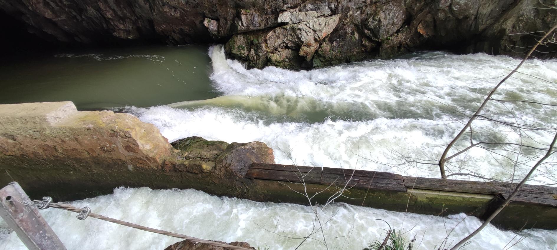 12-20250325_133453-LBN