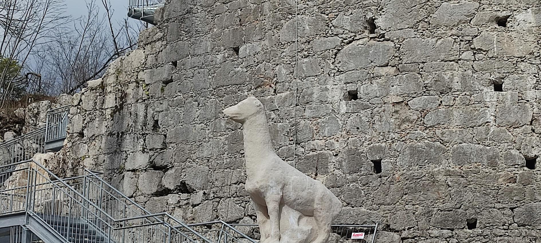 20-20250325_135338-LBN