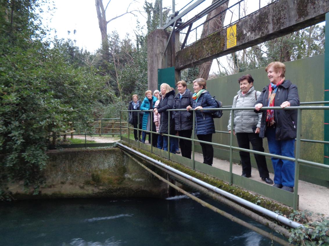 20250225_162656-9712-IŠ