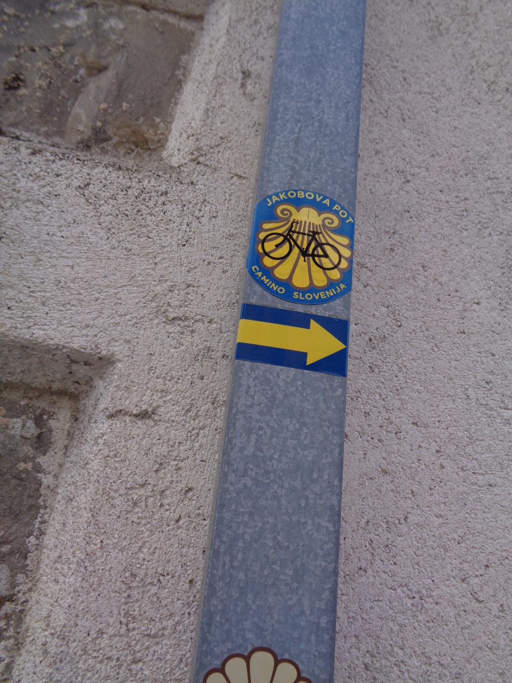 20250311_145858-09964-IŠ