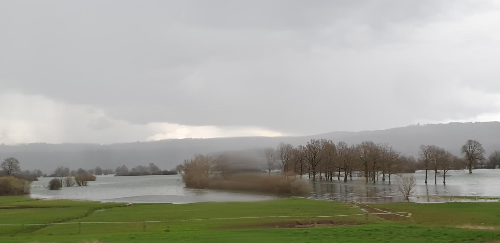 29-20250325_143025-IB