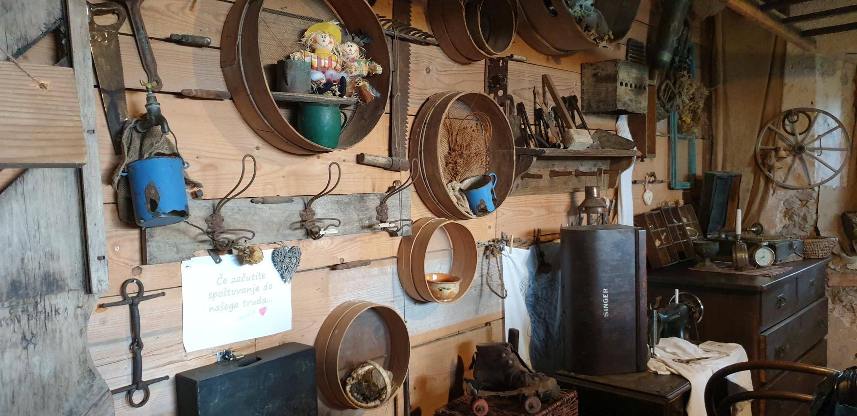 41-20250325_144031-IB