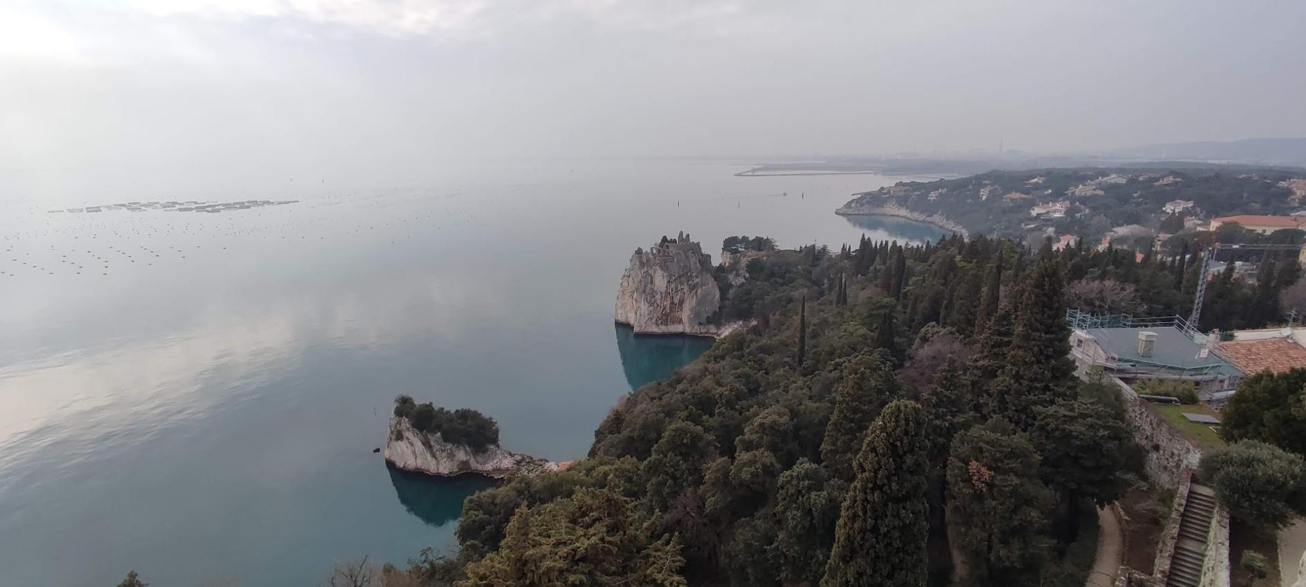 IMG_20250225_142557-L.B.N.