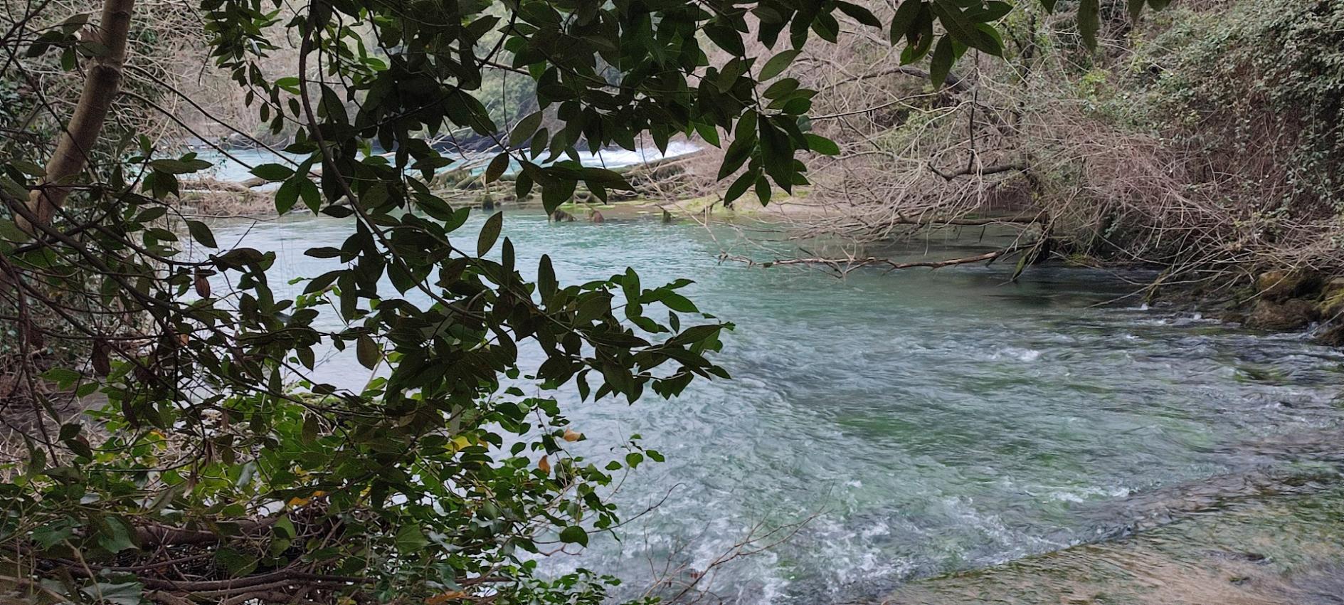 IMG_20250225_155926-L.N.