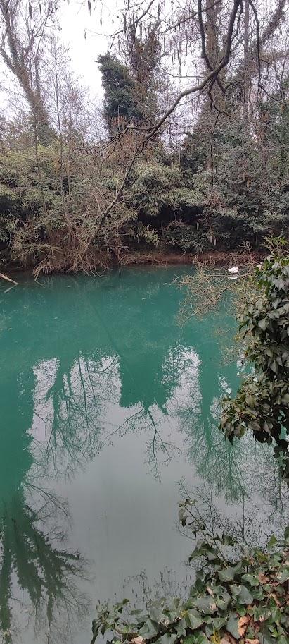 IMG_20250225_160109-L.N.