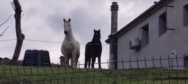 20251127_135726 – LBN